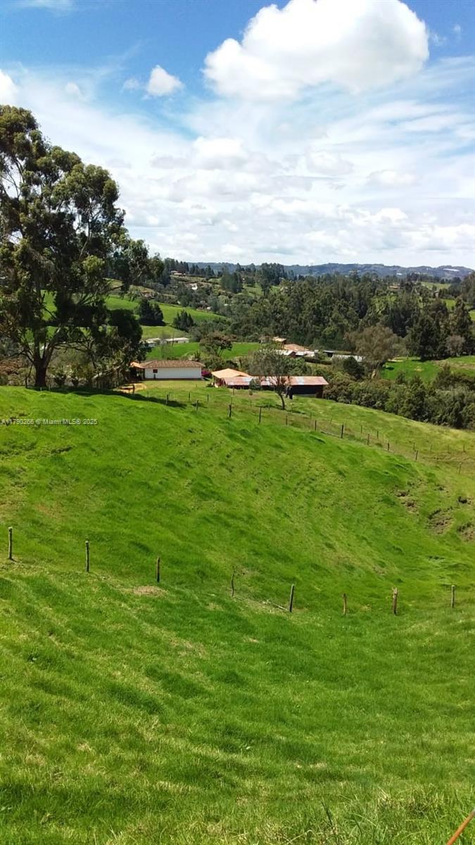Guarne Vereda Brizuela, Other Country – Not In USA FL 054050 — #A11790266