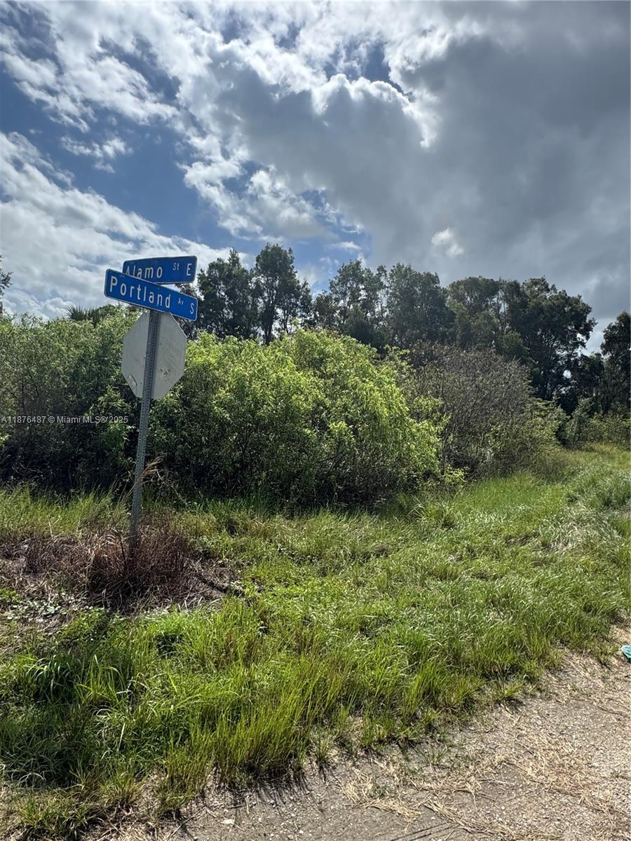 1005 PORTLAND, Lehigh Acres FL 33974 — #A11876487