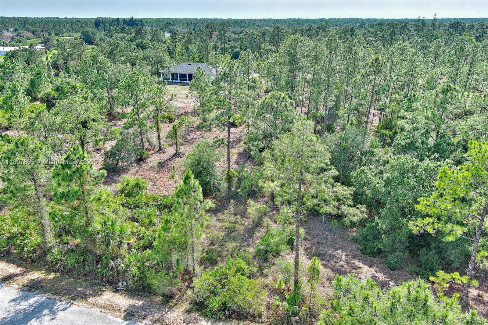 317 Fitch Ave, Lehigh Acres FL 33936 — #A11807893