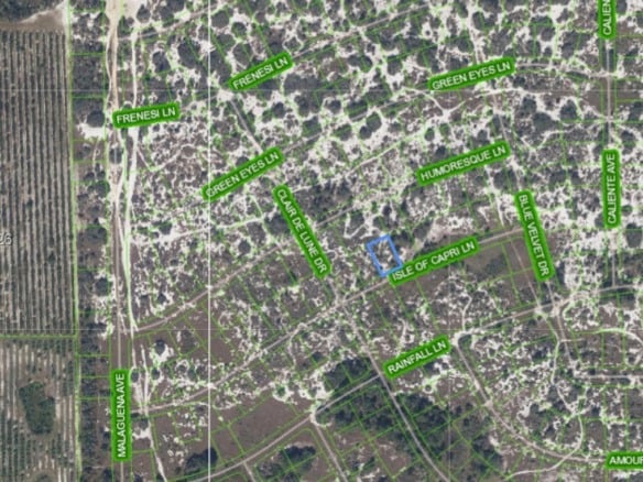 462 Isle of Capri Ln, Lake Placid FL 33852 — #A11817240