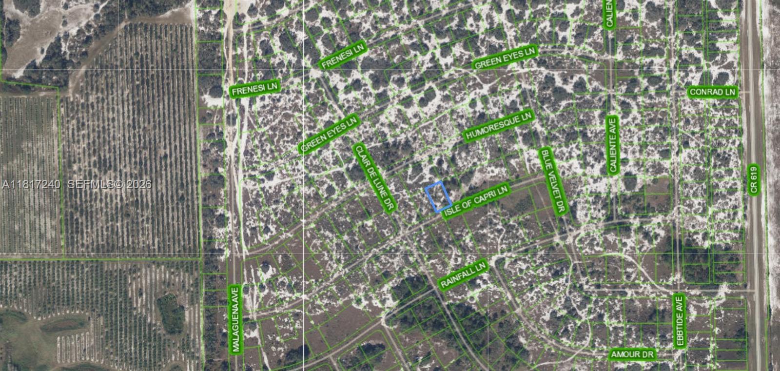 462 Isle of Capri Ln, Lake Placid FL 33852 — #A11817240