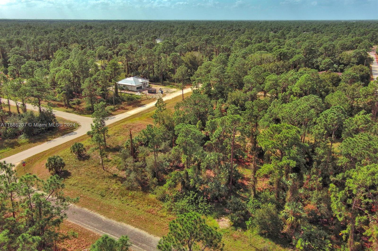 84b12bae-566 158 Nagel Ave S, Lehigh Acres FL 33974 — #A11686207