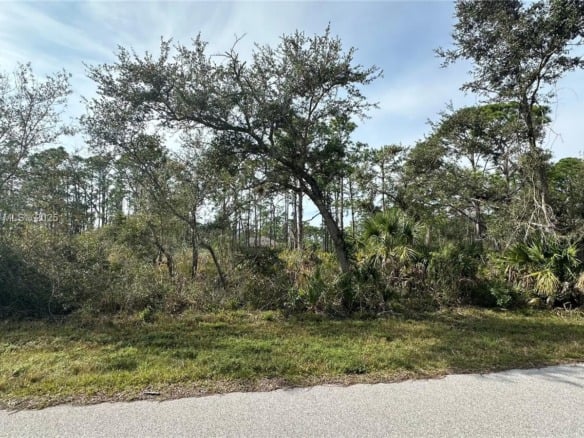 12501 Harlow Avenue, Port Charlotte FL 33953 — #A11836514