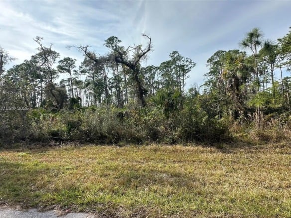 12493 Harlow Avenue, Port Charlotte FL 33953 — #A11836552