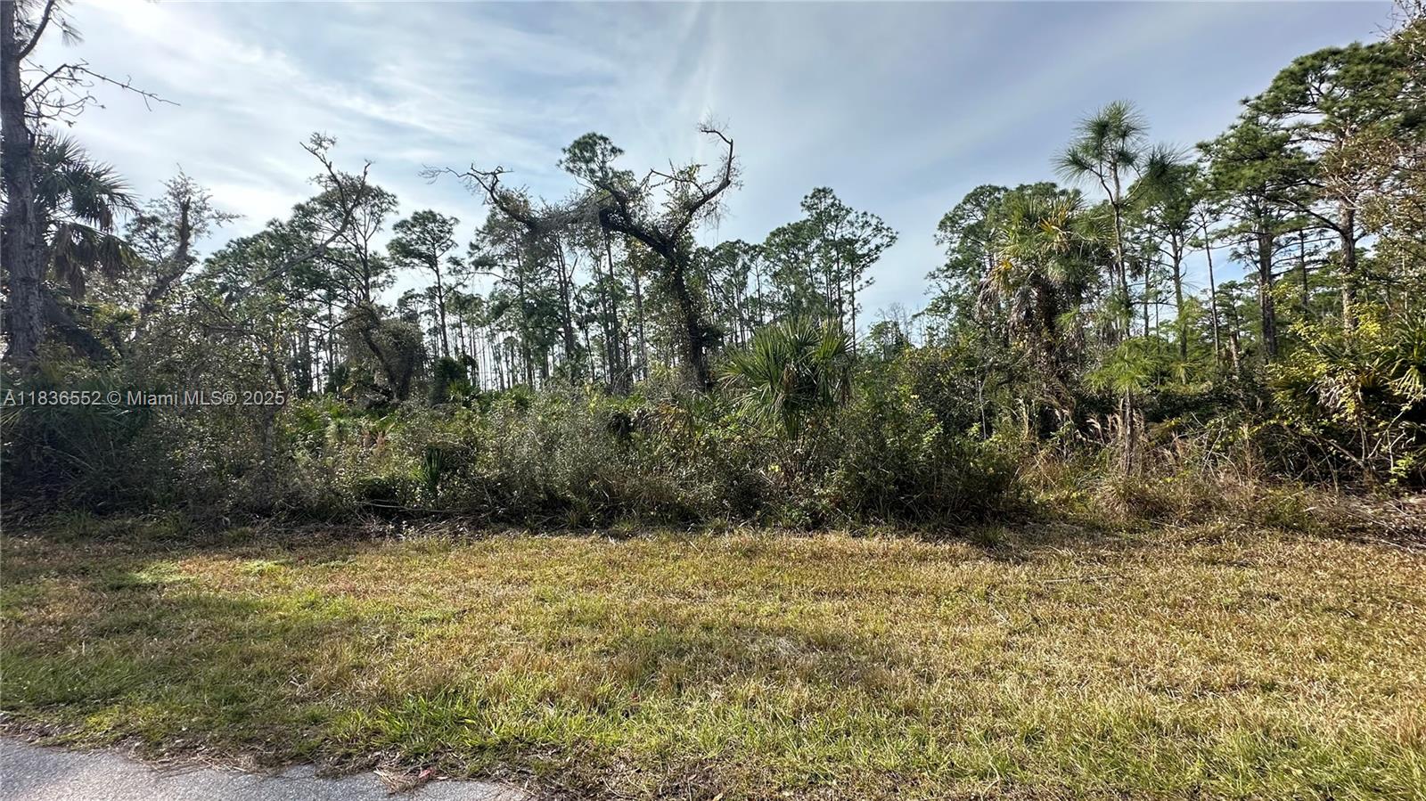 12493 Harlow Avenue, Port Charlotte FL 33953 — #A11836552