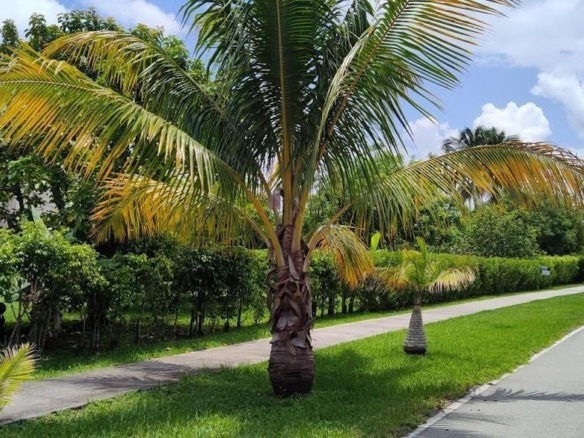 157th CT SW 65th TERRACE, Miami FL 33193 — #A11648030