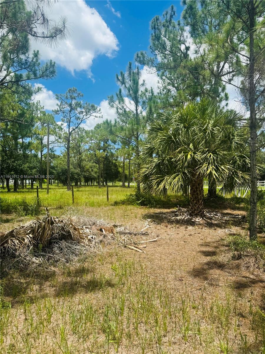 84b12bae-595 5120 PIONEER, Other City – In The State Of Florida FL 33440 — #A11901612