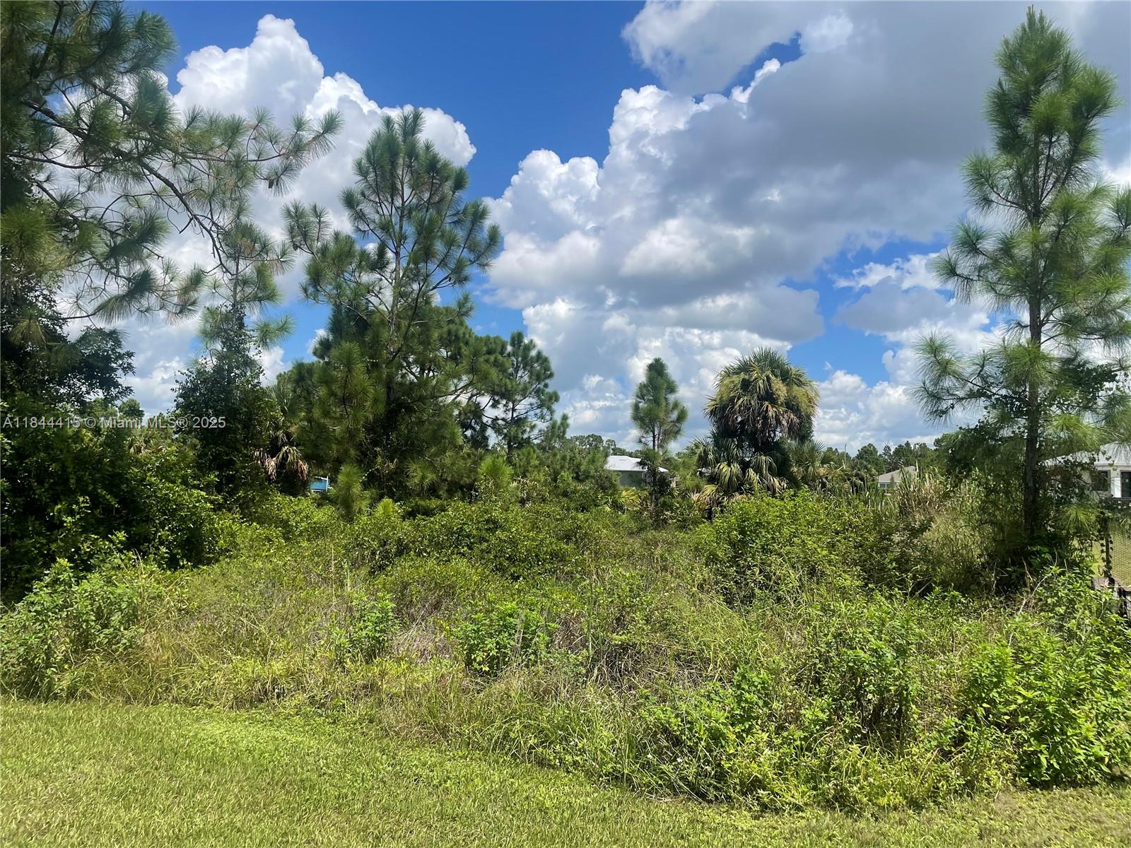 84b12bae-5968 655 KNAPP ST, Lehigh Acres FL 33974 — #A11844415