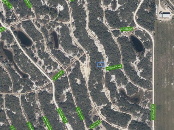 238 Dargen Drive, Lake Placid FL 33852 — #A11851498