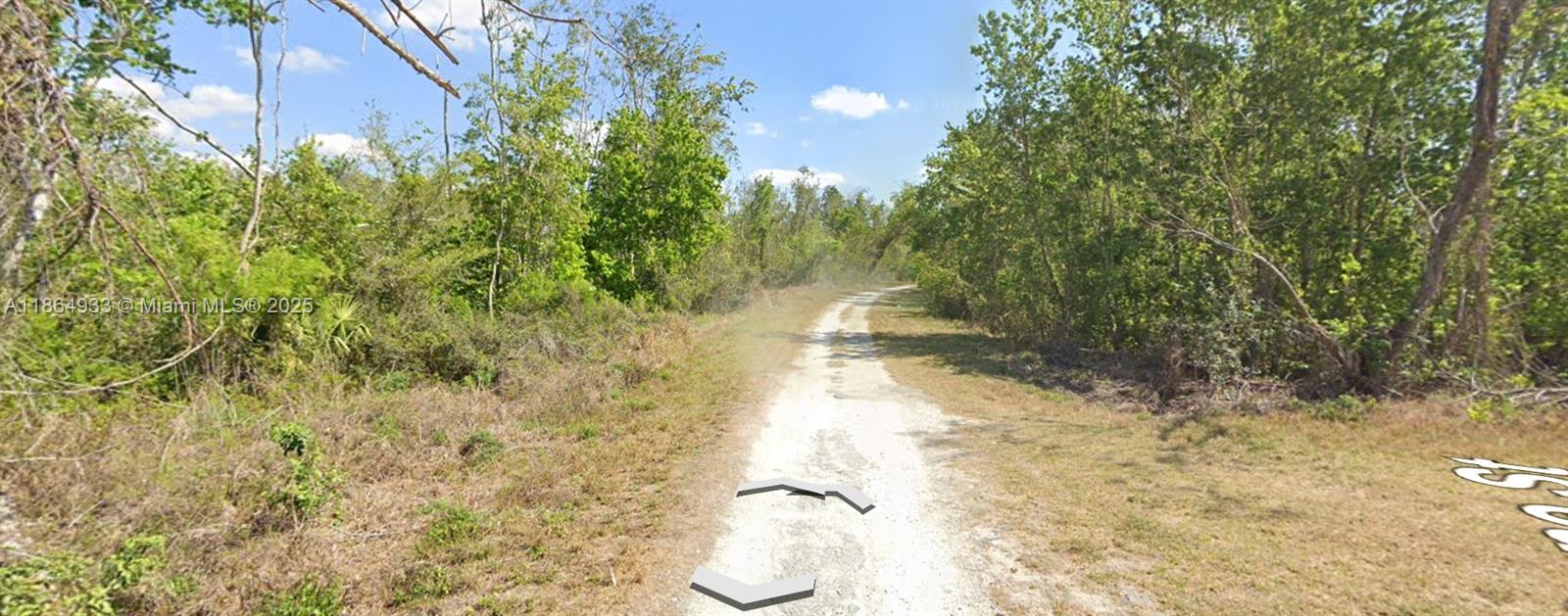 84b12bae-6784 3007 Cacao RD, Lake Placid FL 33852 — #A11864933