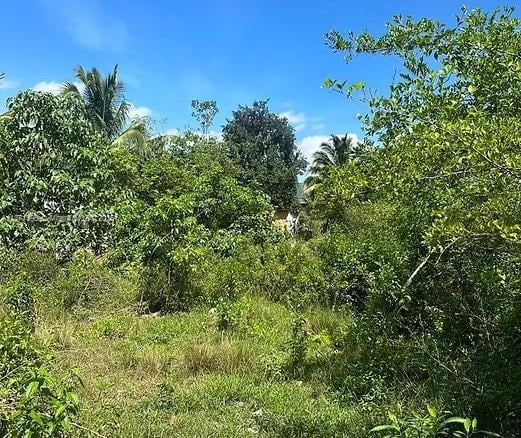 00 RIO NEUVO, ST MARY JAMAICA, NA — #A11871395