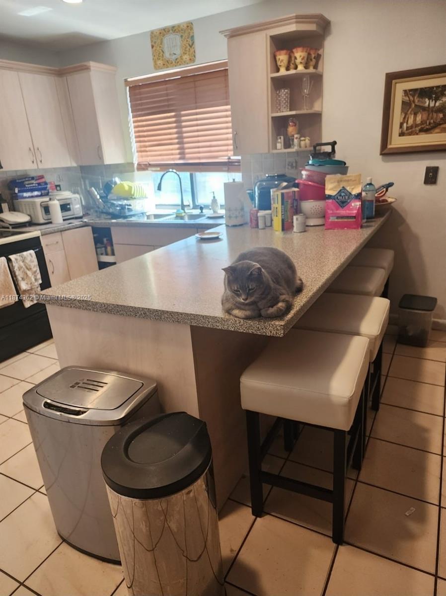84b12bae-7190 11060 SW 143rd Pl, Miami FL 33186 — #A11874362