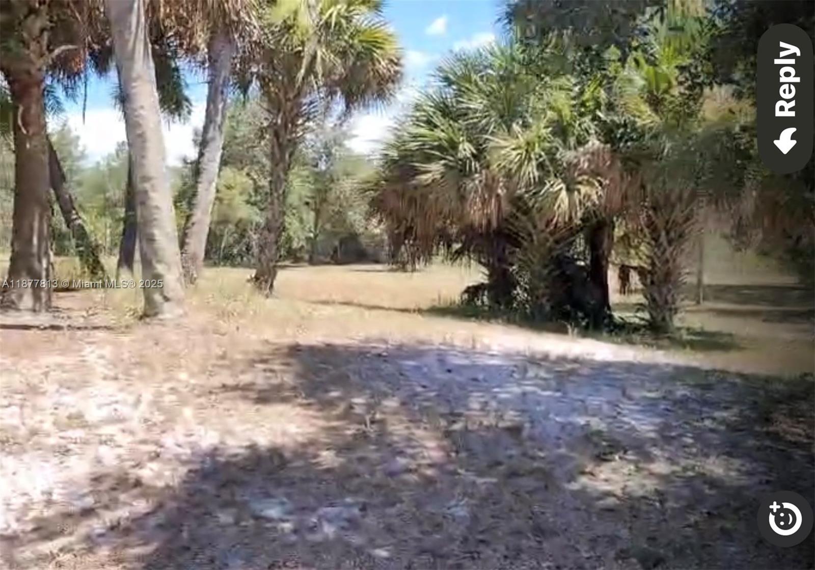 S 320 S Trebol Street, Clewiston FL 33440 — #A11877813