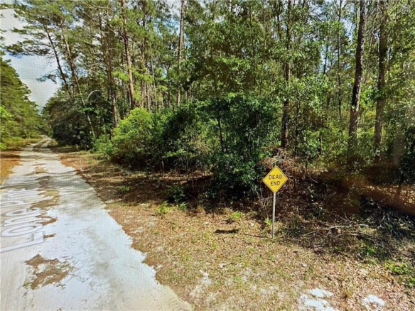 0000 Lone Pine Trail, FL 32666 — #F10389229