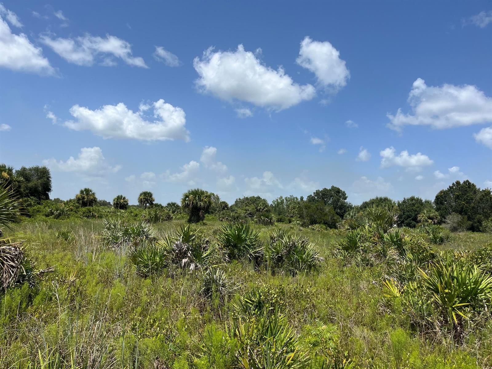18325 NW 278th Street, Okeechobee FL 34972 — #R10911703