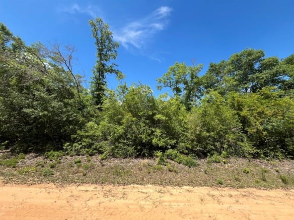 0 Hocking Street, FL 32420 — #R10989320