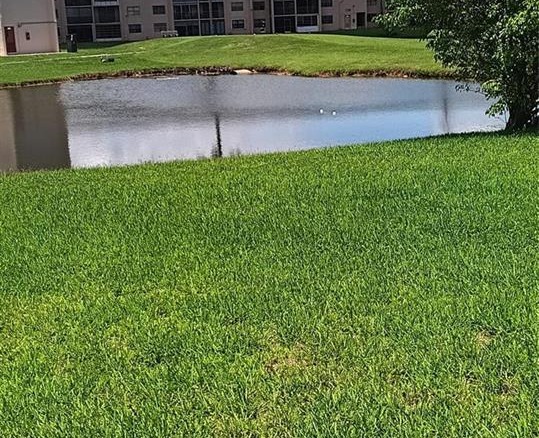 10145 Sunrise Lakes Boulevard # 405, Sunrise FL 33322 — #F10447355