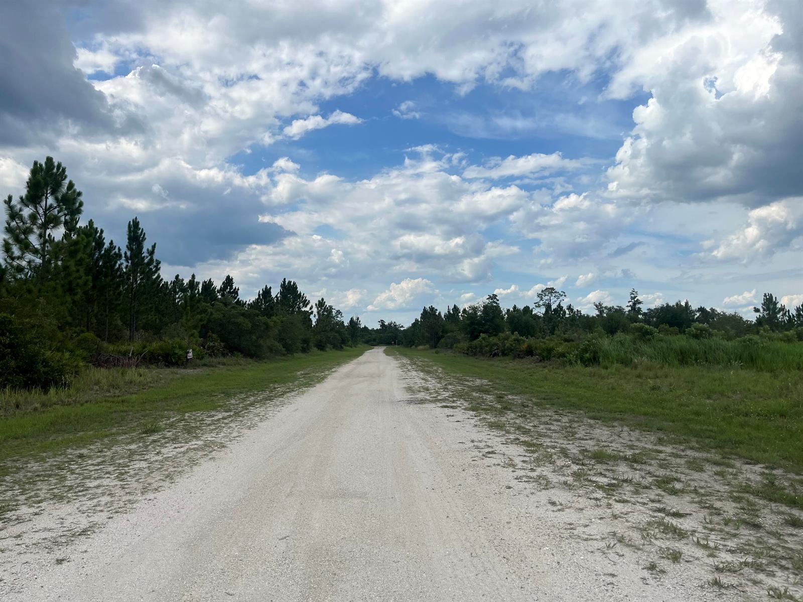 84b12bae-7601 0 Pinnata Drive, Lake Wales FL 33898 — #R11003048