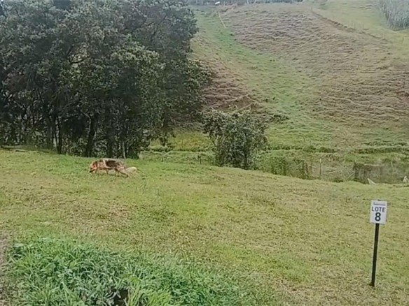 Vereda Mmpuesto Sector Garrido #8, C Colombia — #A11910842