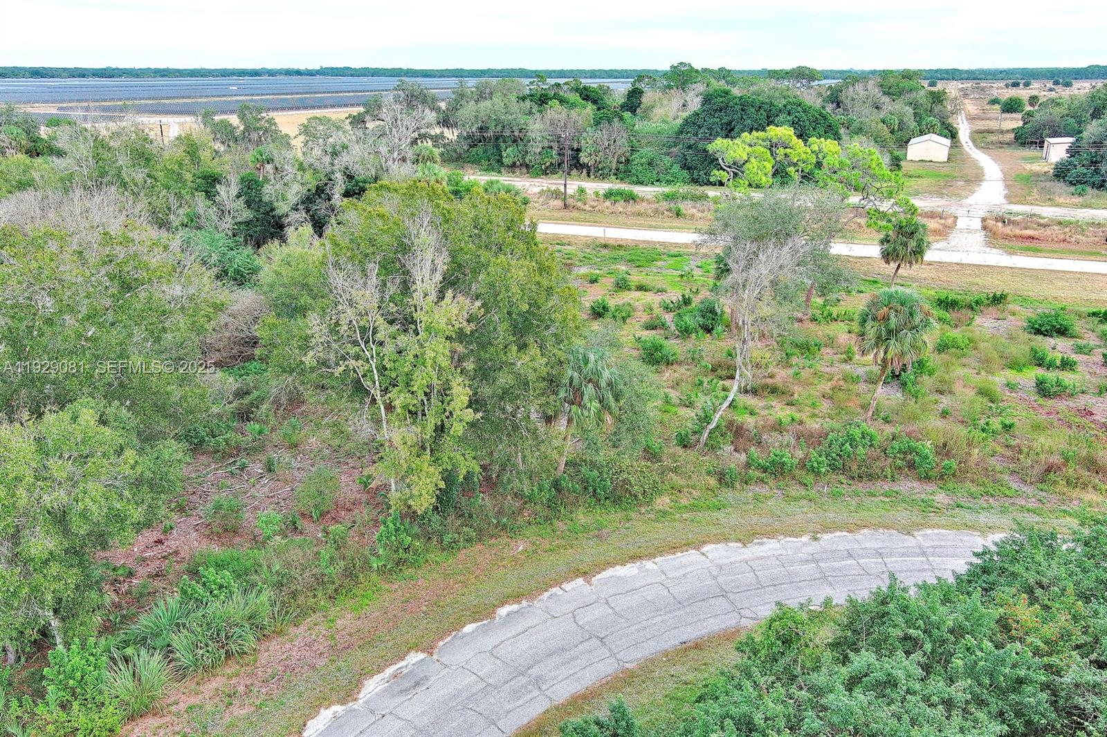 171 CAROUSEL AVE, La Belle FL 33935 — #A11929081
