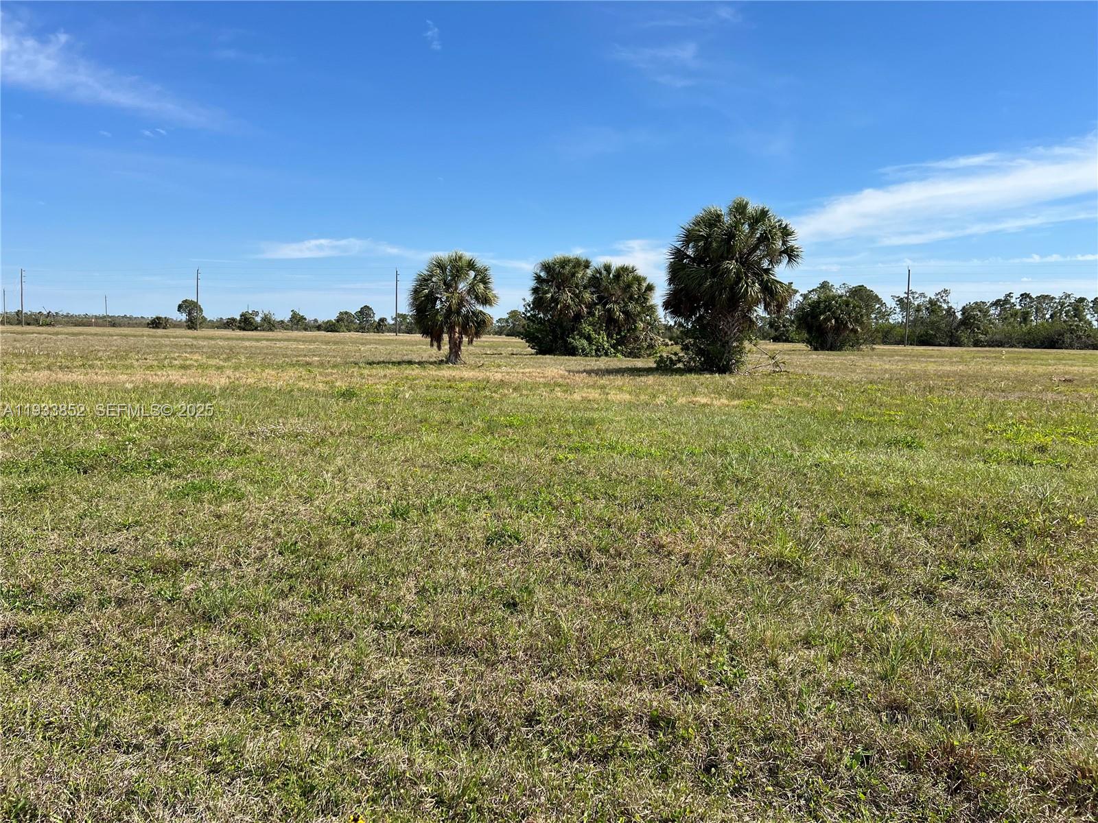 f3b61b38-1599 12376 GREENLING WAY, Other City – In The State Of Florida FL 33946 — #A11933852