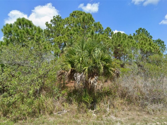 740 SW Opal, Palm Bay FL 32908 — #A11938056