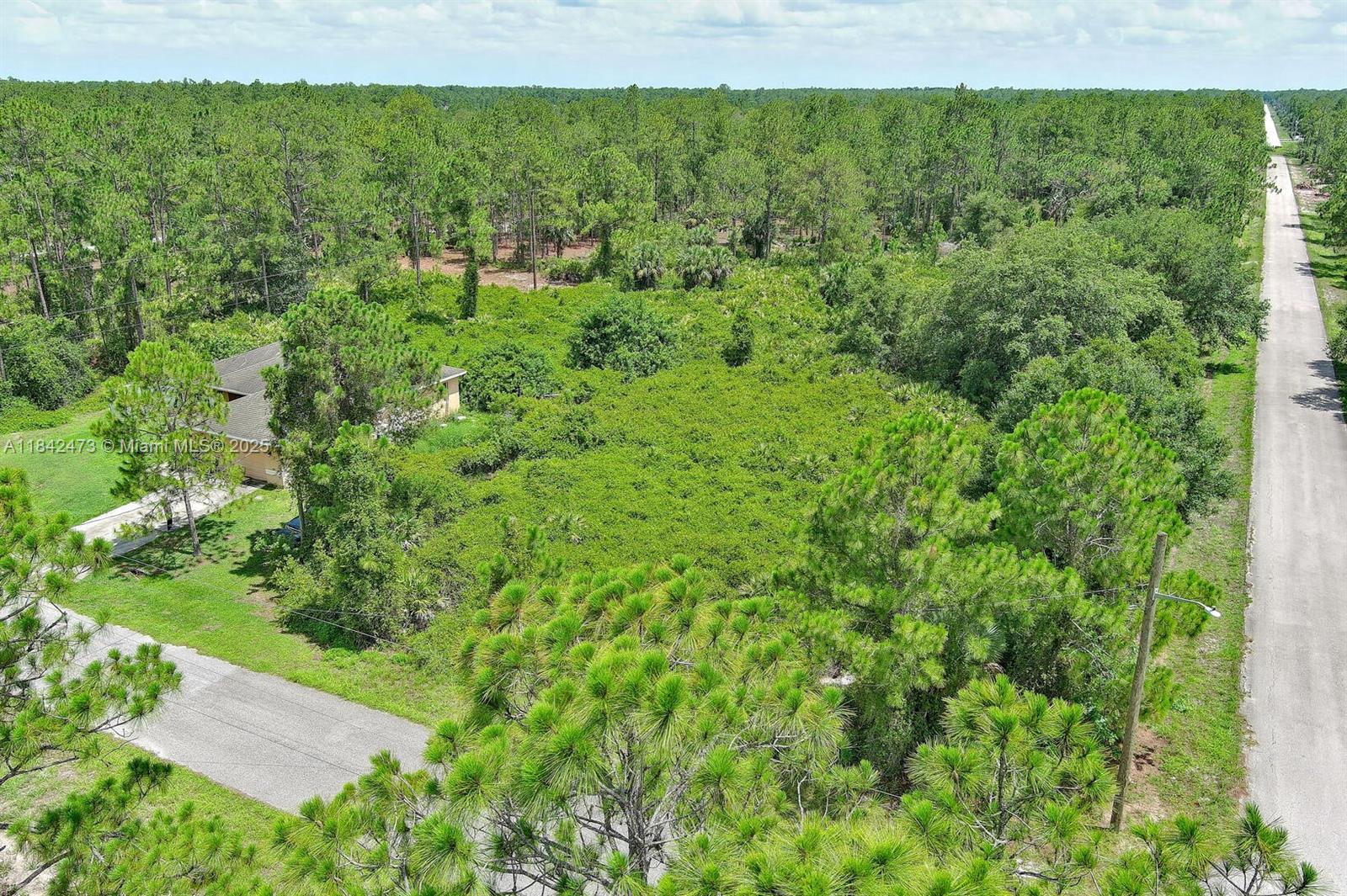 f3b61b38-1876 3100 E 13th St, Lehigh Acres FL 33972 — #A11842473