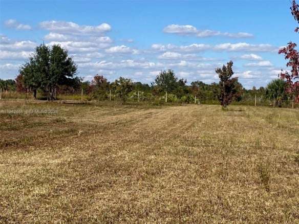 16631 NW 262 st, Okeechobee FL 34972 — #A11942461