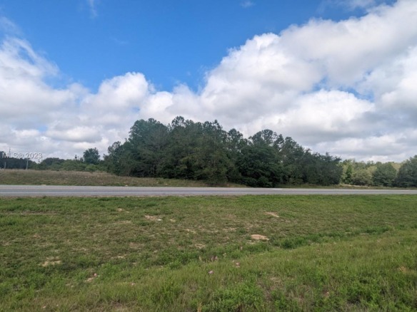 51 E Citrus Springs Blvd, Citrus Springs FL 34434 — #A11409867
