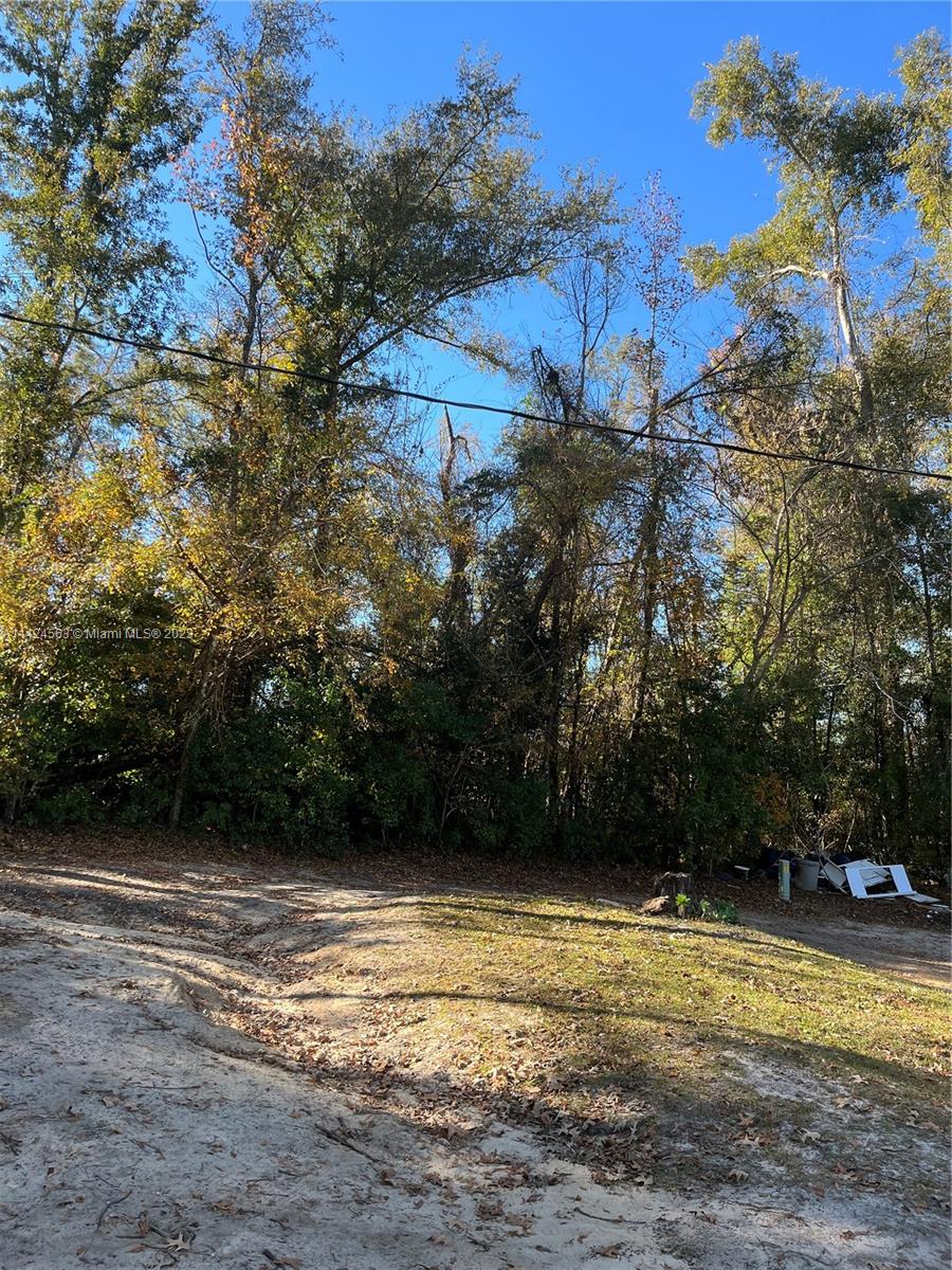 f3b61b38-2541 1316 Carrol ST, Other City – In The State Of Florida FL 32324 — #A11424563