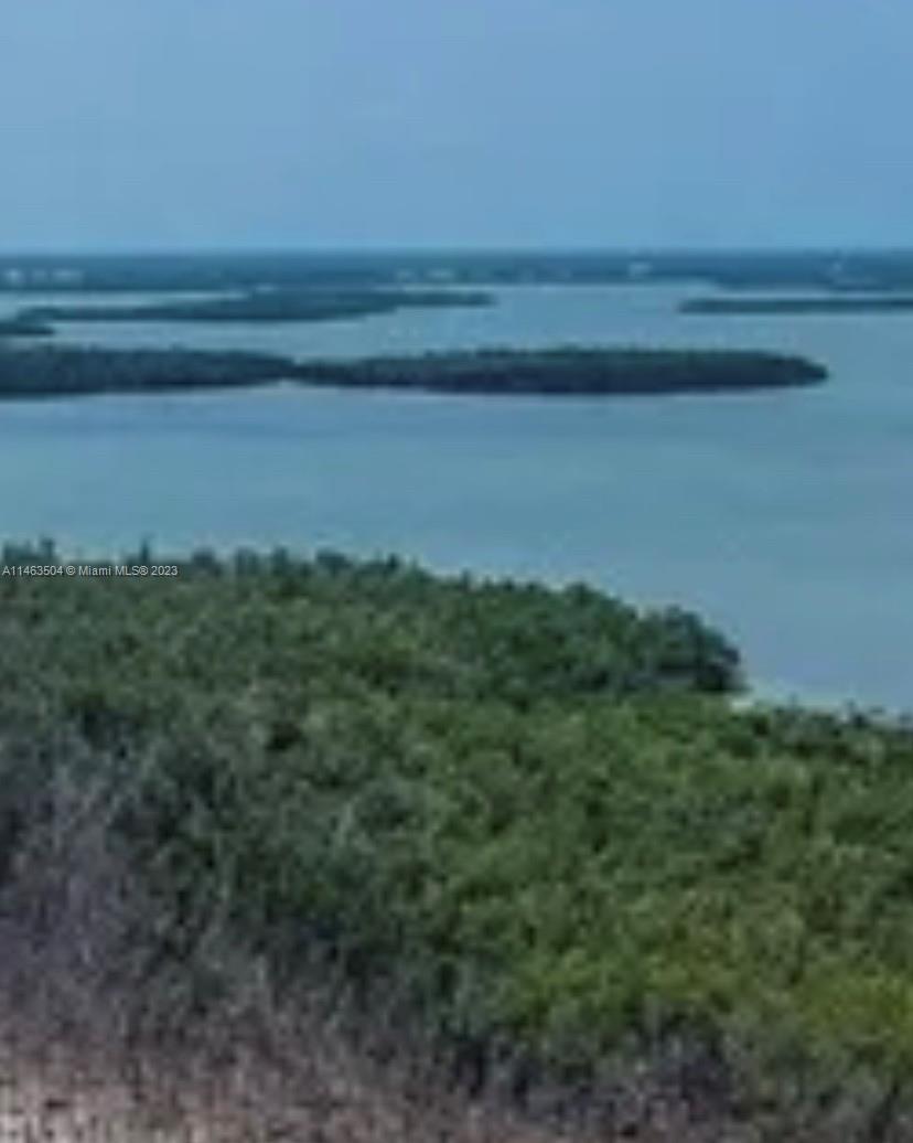 f3b61b38-2607 2044 Dogwoods, Marco Island FL 34145 — #A11463504
