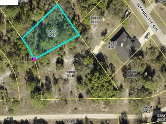 ALVA, FL, Other City – In The State Of Florida FL 33920 — #A11608681