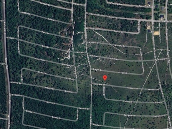 8136 Veronese Street, Sebring FL 33872 — #A11710929