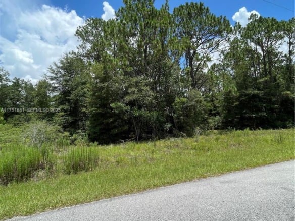 tbd SW 59th LN, Other City – In The State Of Florida FL 34431 — #A11751681