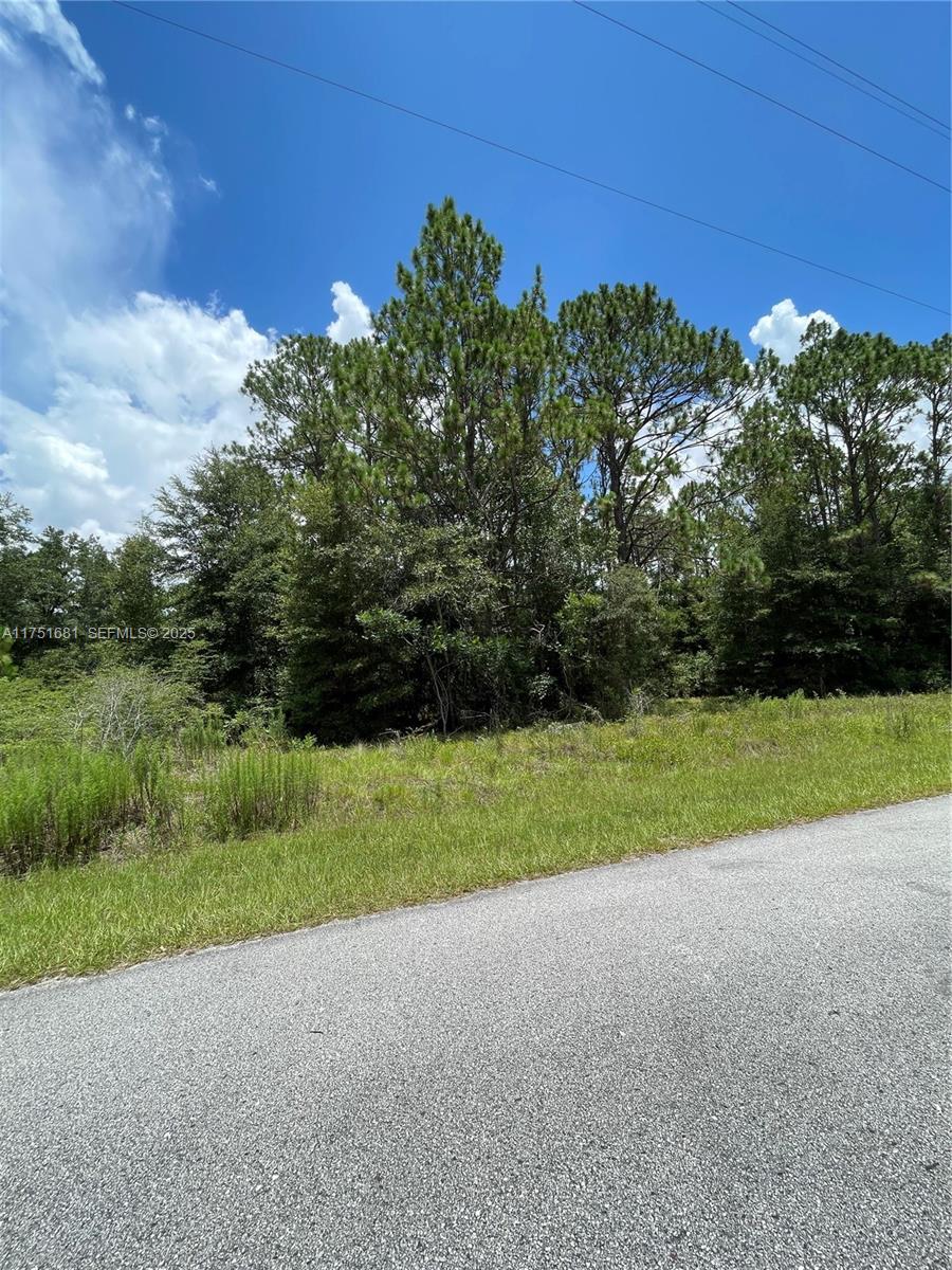 tbd SW 59th LN, Other City – In The State Of Florida FL 34431 — #A11751681