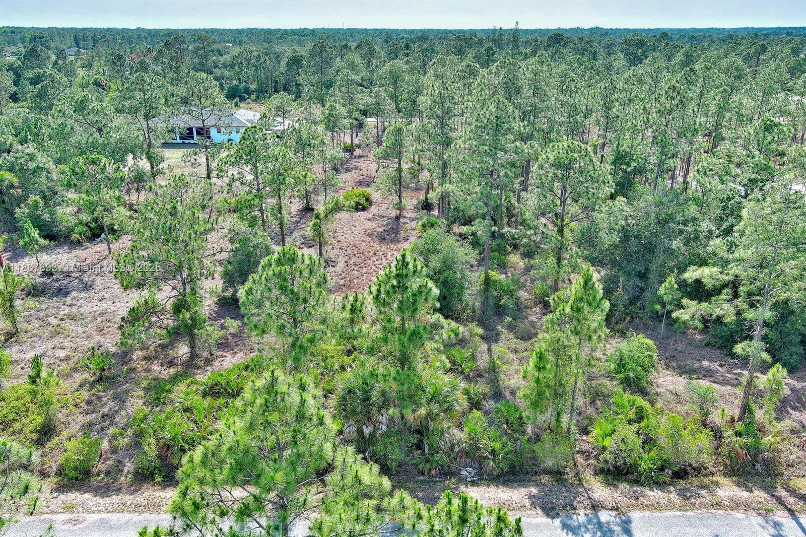 317 Fitch Ave, Lehigh Acres FL 33936 — #A11807893