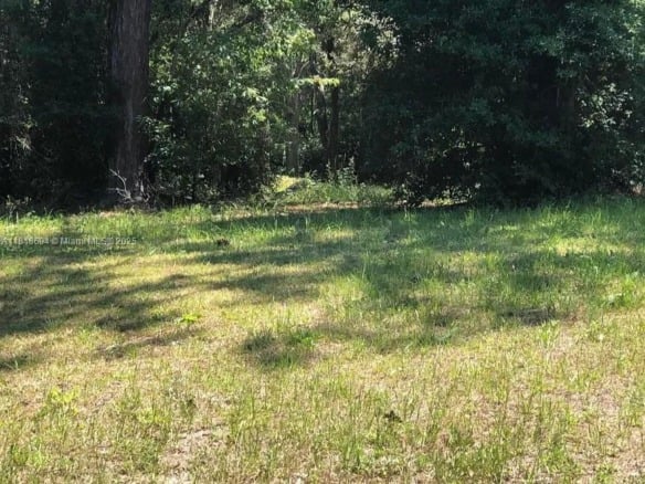 2940 W PLANTATION PINES CT, Other City – In The State Of Florida FL 34461 — #A11818694