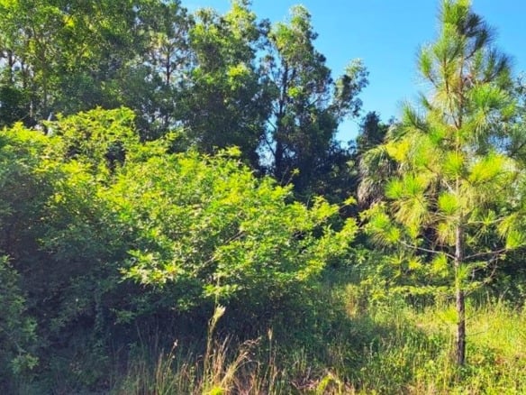 618 Parkdale Blvd, Lehigh Acres FL 33974 — #A11820812