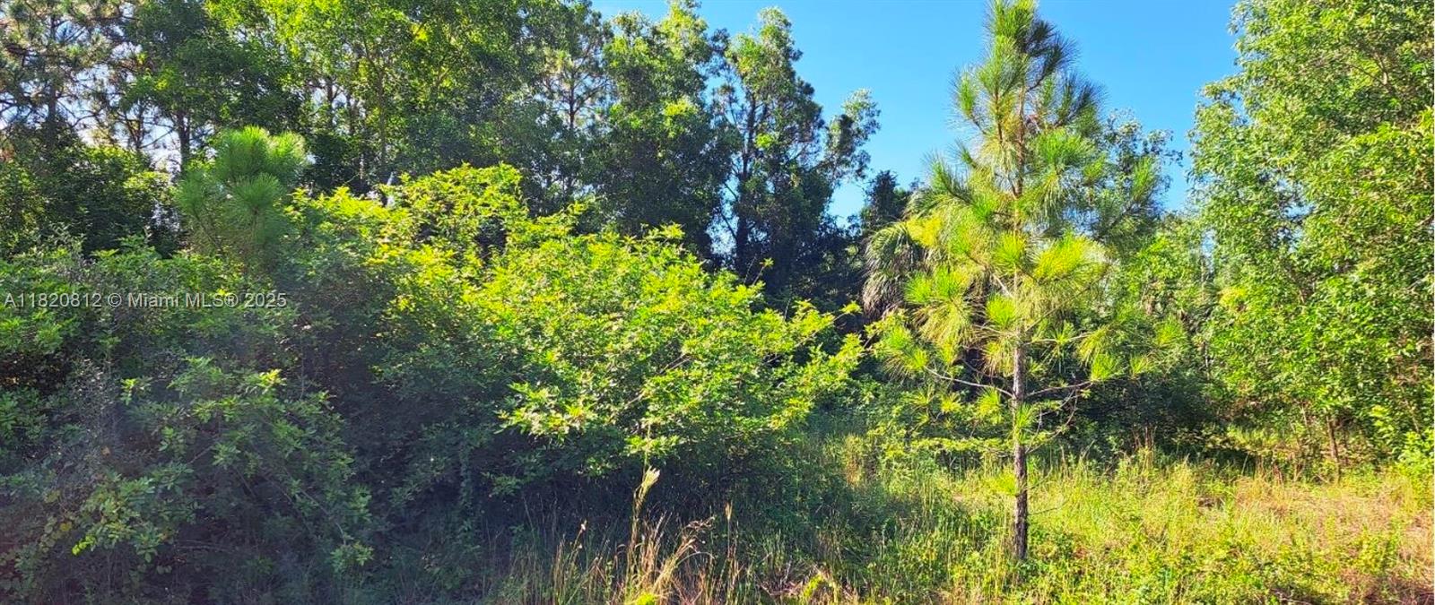 618 Parkdale Blvd, Lehigh Acres FL 33974 — #A11820812
