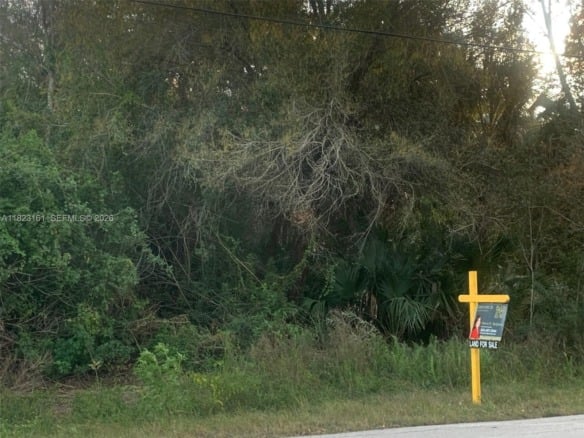Golden Gate St 2nd Ave SE, Naples FL 34117 — #A11823161