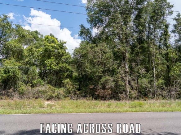 Old Fanning Rd, Other City – In The State Of Florida FL 32693 — #A11825799