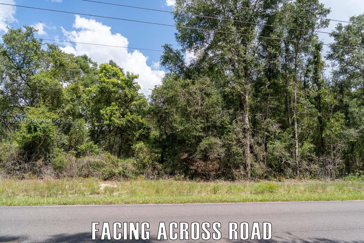 f3b61b38-5591 Old Fanning Rd, Other City – In The State Of Florida FL 32693 — #A11825799