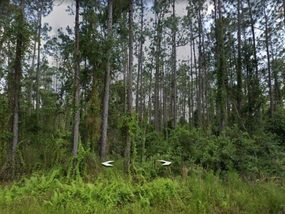 8623 Lucy Drive, Sebring FL 33872 — #A11825888