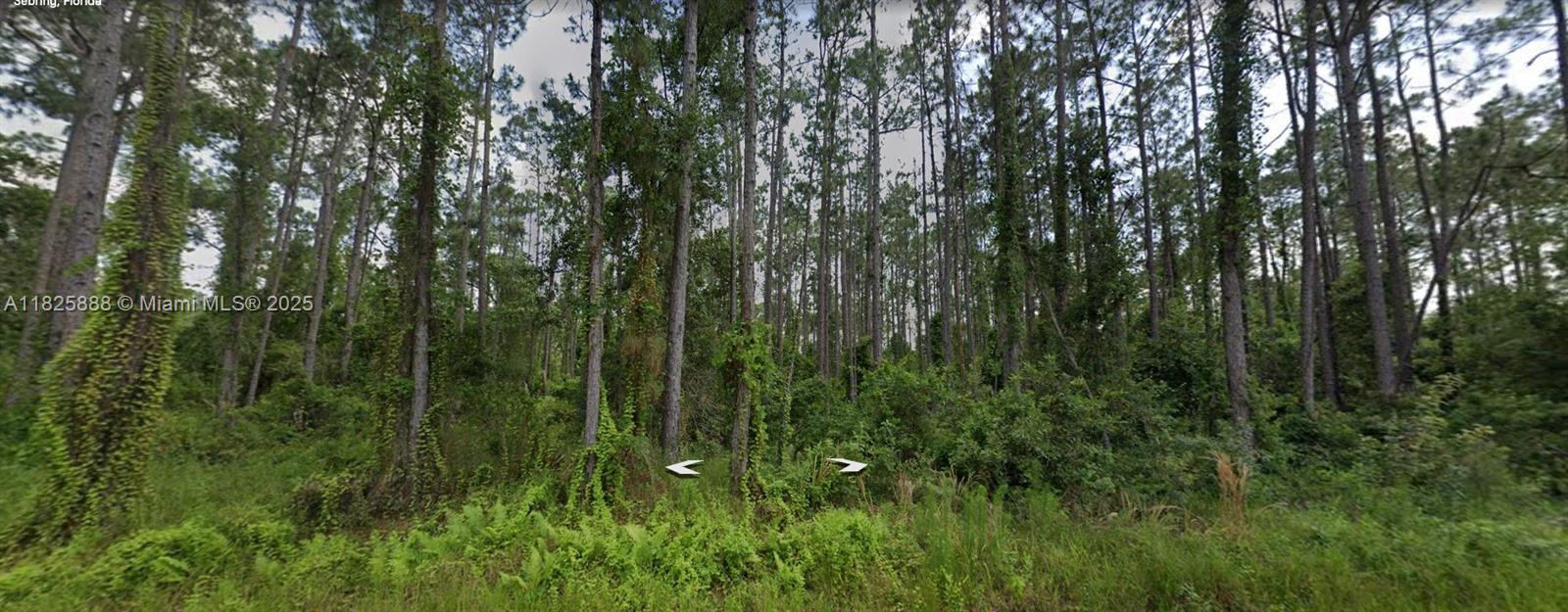 8623 Lucy Drive, Sebring FL 33872 — #A11825888