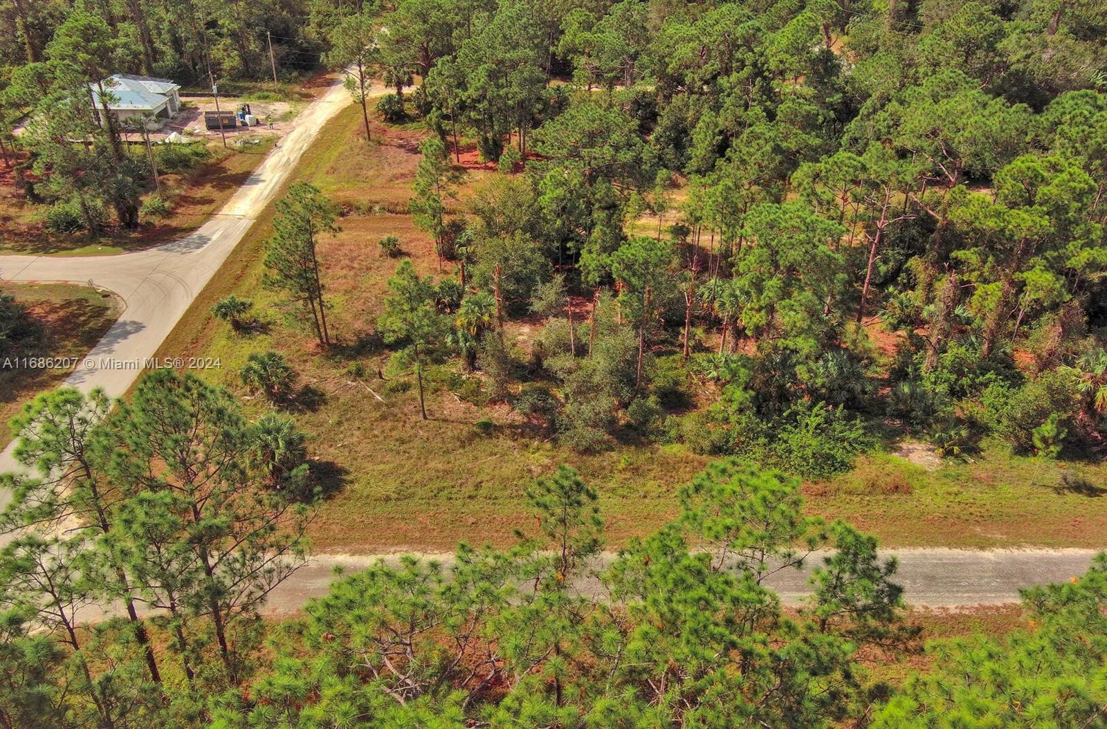 f3b61b38-605 158 Nagel Ave S, Lehigh Acres FL 33974 — #A11686207