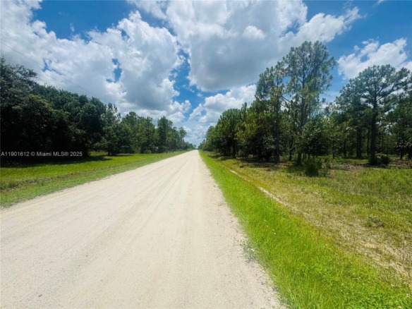 5120 PIONEER, Other City – In The State Of Florida FL 33440 — #A11901612