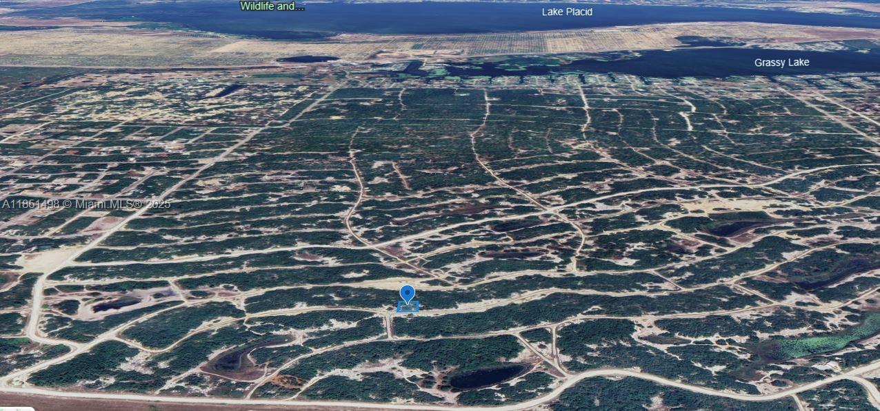 238 Dargen Drive, Lake Placid FL 33852 — #A11851498