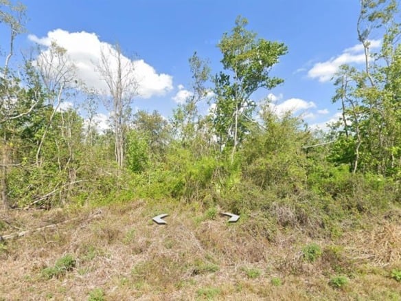 3007 Cacao RD, Lake Placid FL 33852 — #A11864933