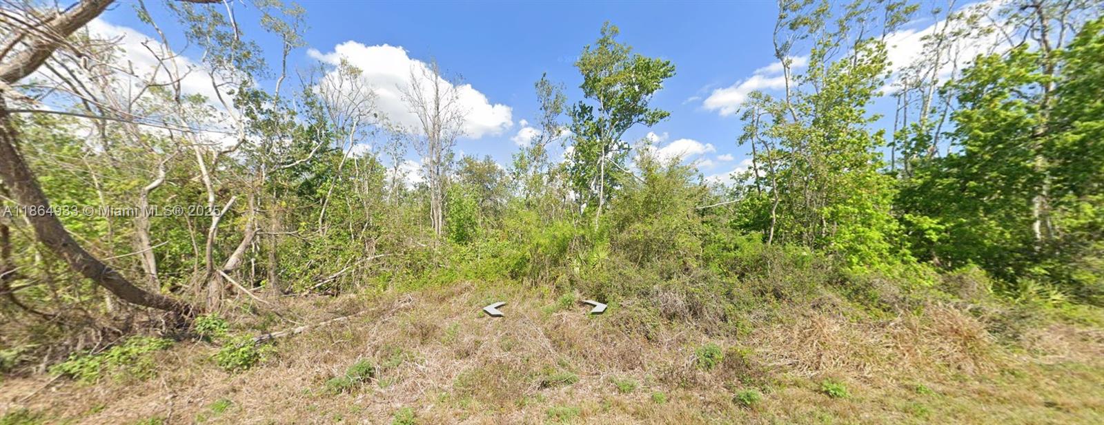 f3b61b38-6961 3007 Cacao RD, Lake Placid FL 33852 — #A11864933