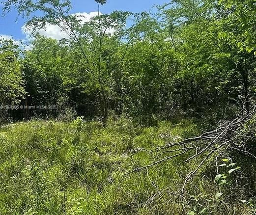 00 RIO NEUVO, ST MARY JAMAICA, NA — #A11871395